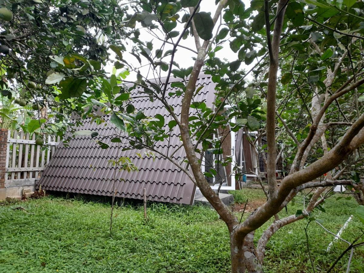 Tam Tinh Vien Homestay Hue Esterno foto