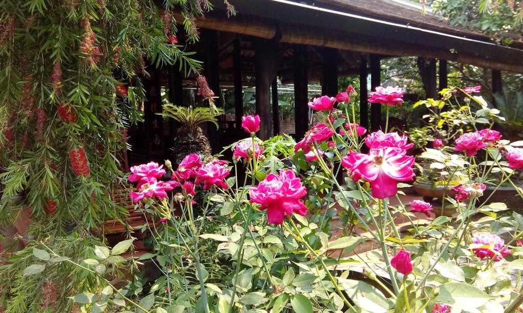 Tam Tinh Vien Homestay Hue Esterno foto
