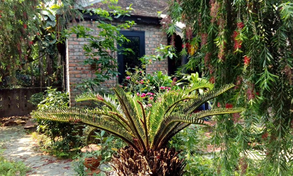 Tam Tinh Vien Homestay Hue Esterno foto