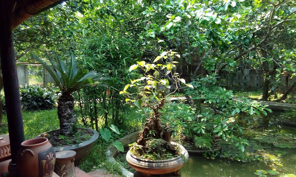 Tam Tinh Vien Homestay Hue Esterno foto