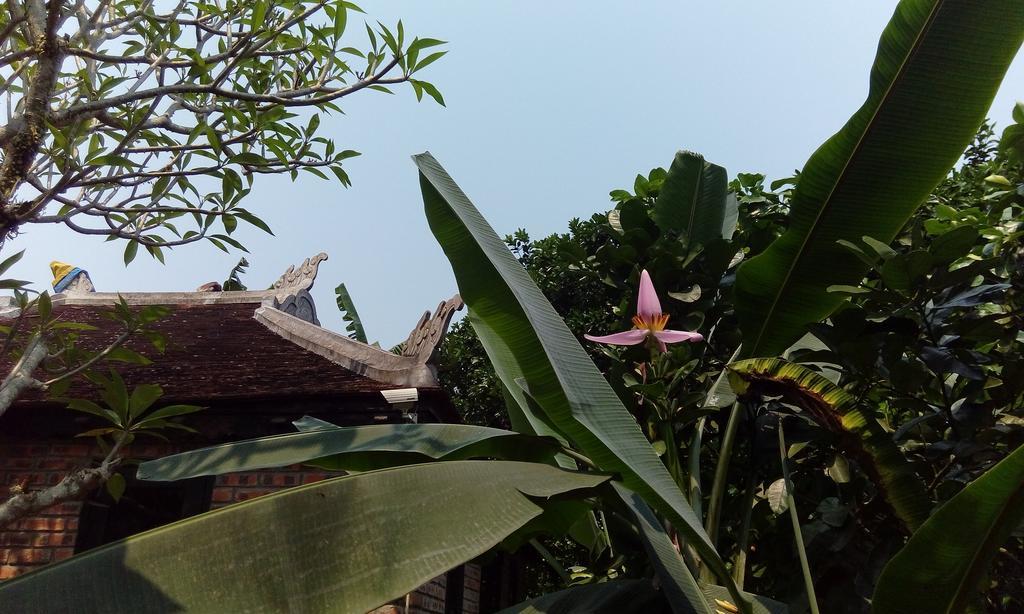 Tam Tinh Vien Homestay Hue Esterno foto