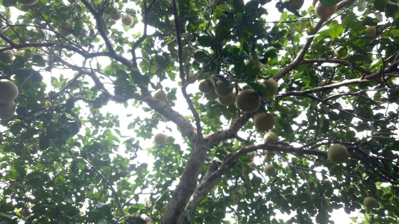 Tam Tinh Vien Homestay Hue Esterno foto