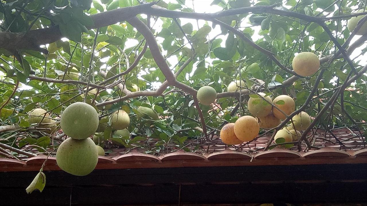 Tam Tinh Vien Homestay Hue Esterno foto